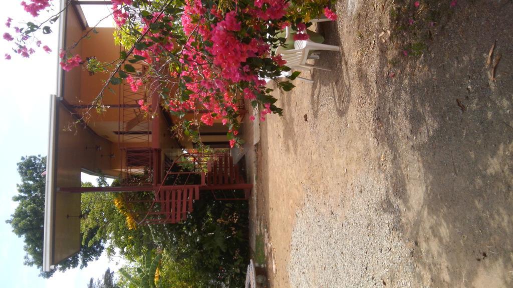 Hostal Dona Maria Pedasi Town Exterior photo